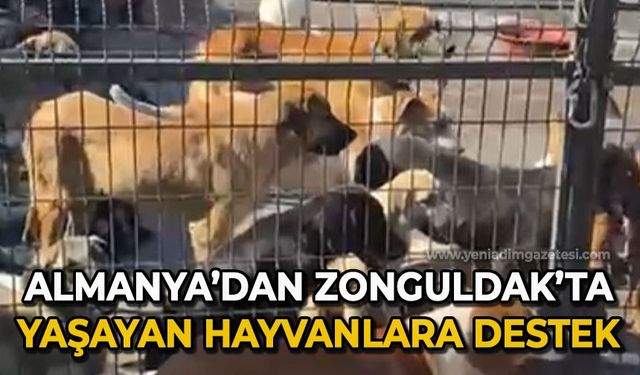 Almanya'dan Zonguldak'ta yaşayan hayvanlara destek