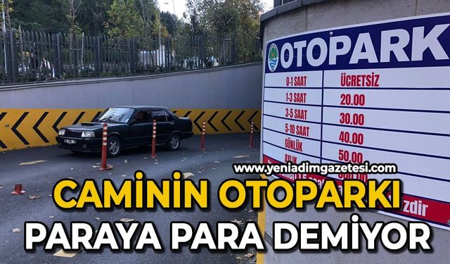 Caminin otoparkı paraya para demiyor