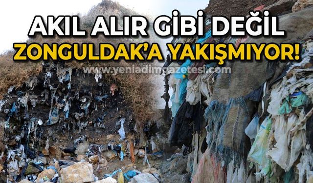 Akıl alır gibi değil: Zonguldak'a hiç yakışmıyor!