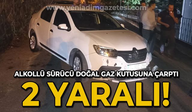 Alkollü sürücü doğalgaz kutusuna çarptı: 2 yaralı