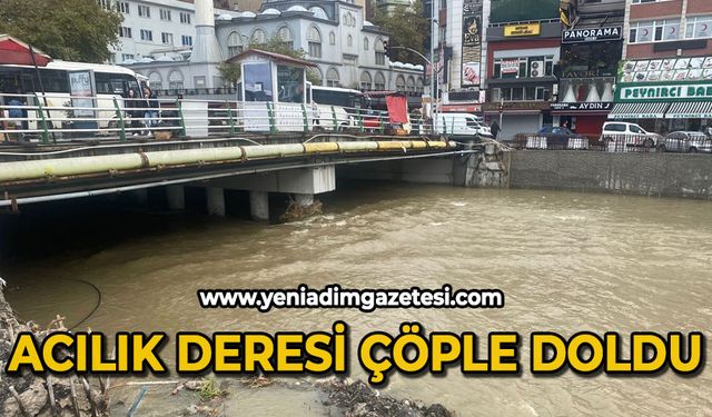 Acılık Deresi çöple doldu