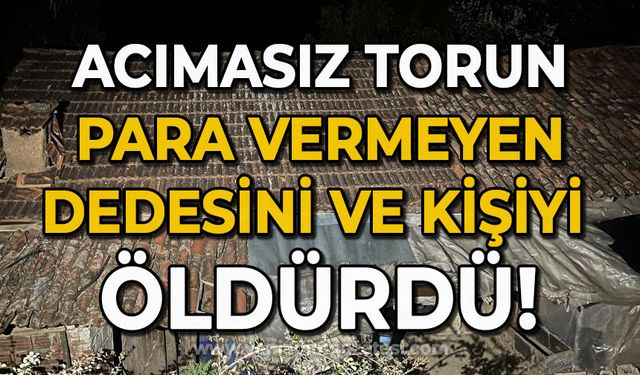 Acımasız torun dehşet saçtı: Para vermeyen dedesini ve 2 kişiyi öldürdü