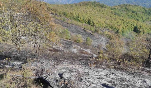 Örtü yangını ormana sıçramadan söndürüldü