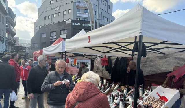 Palamut fiyatı düştü, vatandaş ilgi gösterdi