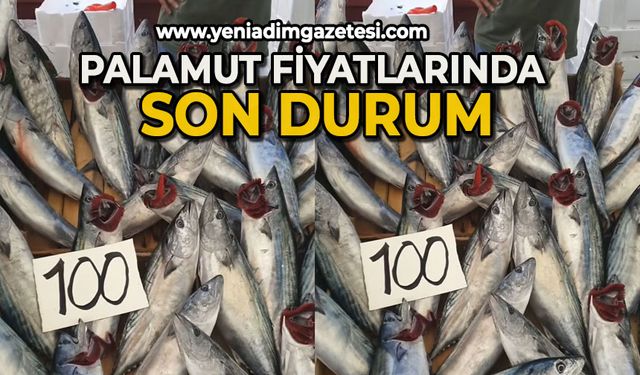 Palamut fiyatında son durum