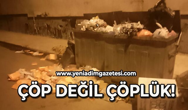 Çöp değil çöplük!