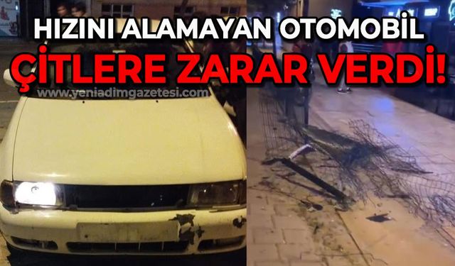 Hızını alamayan otomobil tel çitlere zarar verdi