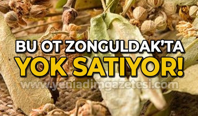 Bu ot Zonguldak'ta "yok" satıyor!