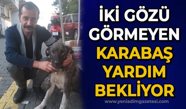 İki gözü görmeyen Karabaş yardım bekliyor