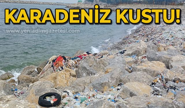 Karadeniz kustu: Derelerin getirdiği çöpleri geri gönderdi