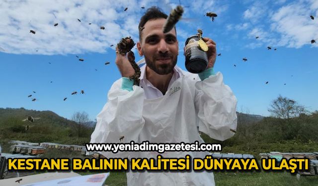 Kestane balının kalitesi dünyaya ulaştı