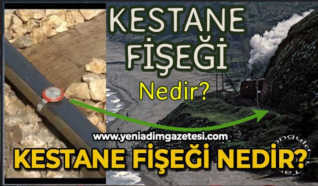 Kestane fişeği nedir?