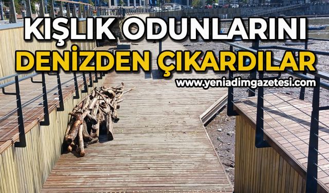 Kışlık odunlarını denizden çıkardılar