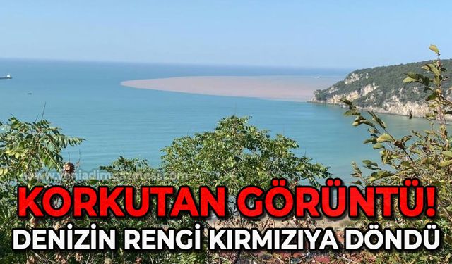 Sahilde korkutan görüntüler: Karadeniz’in rengi kırmızıya dönüştü