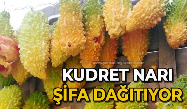 Kudret narı şifa dağıtıyor