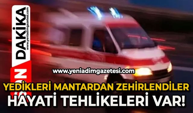 Yedikleri mantardan zehirlendiler: Hayati tehlikeleri var!