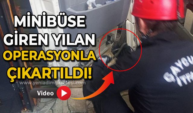 Park halinde minibüse giren yılan itfaiye ekiplerinin müdahalesiyle çıkarıldı