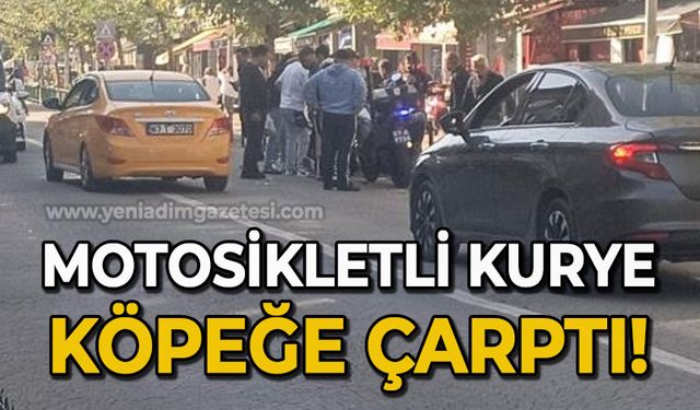 Motosikletli kurye köpeğe çarptı!