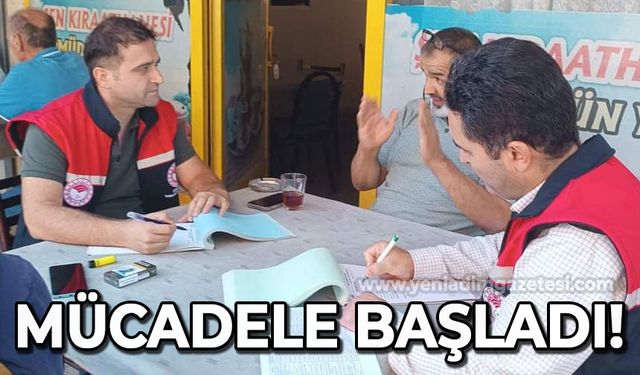 Tehlikeli böcek ile mücadele başladı