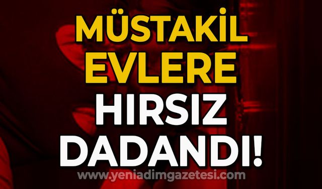 Zonguldak'ta müstakil evlere hırsız dadandı!