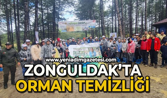 Zonguldak'ta orman temizliği