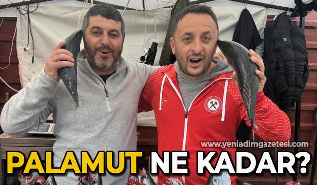 Zonguldak palamut fiyatı ne kadar?