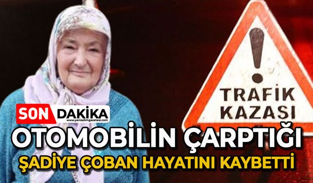 Otomobilin çarptığı 72 yaşındaki Şadiye Çoban hayatını kaybetti