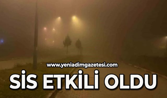 Çaycuma'da sis etkili oldu