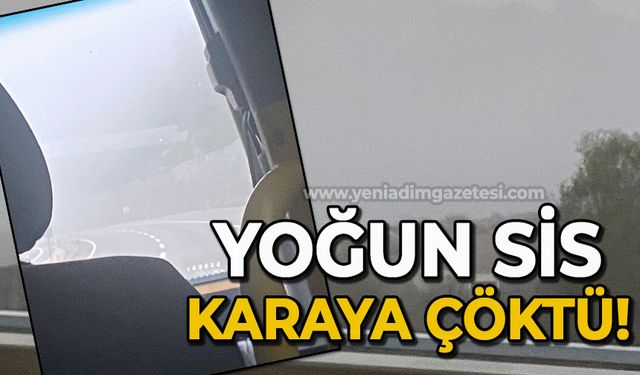 Yoğun sis yola çöktü!