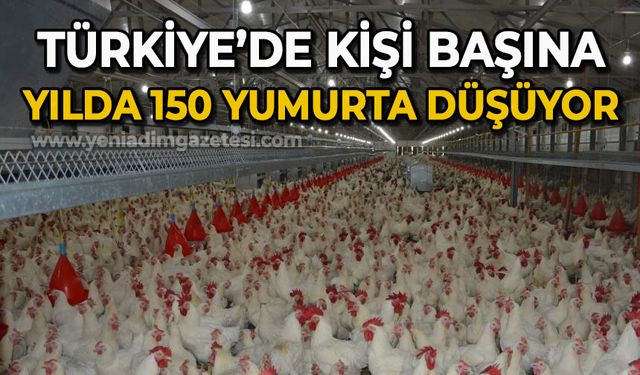 Türkiye'de kişi başına yılda 150 yumurta düşüyor