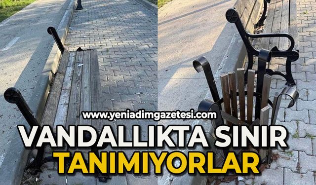 Vandallıkta sınır tanımıyorlar