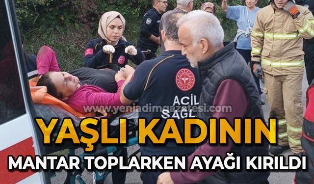 Mantar toplarken ayağı kırılan kadını ekipler kurtardı