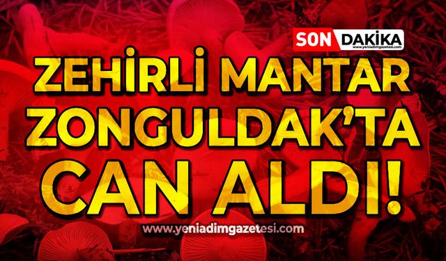 Zehirli mantar Zonguldak'ta can aldı!