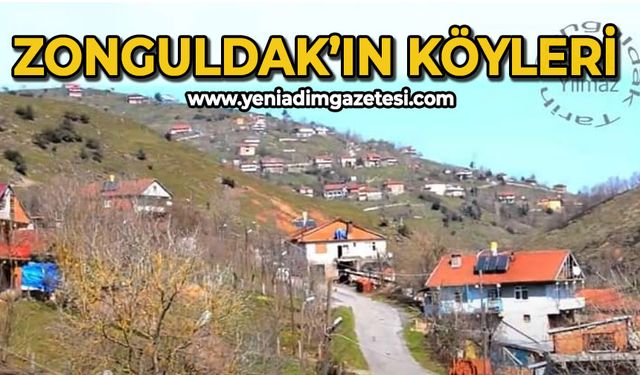 Zonguldak'ın köyleri