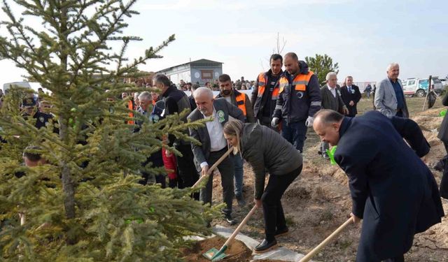 15 bin fidan toprakla buluştu