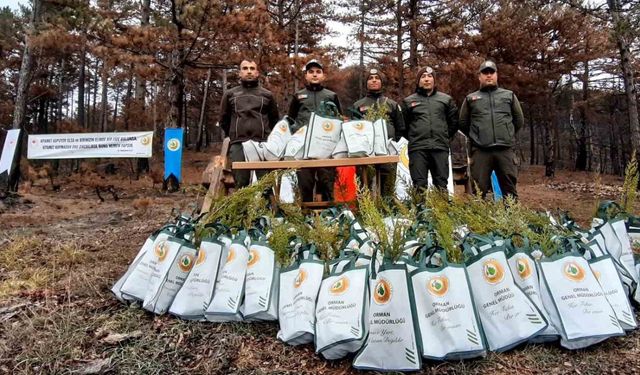 30 bin fidanla yangınların yaraları sarılıyor