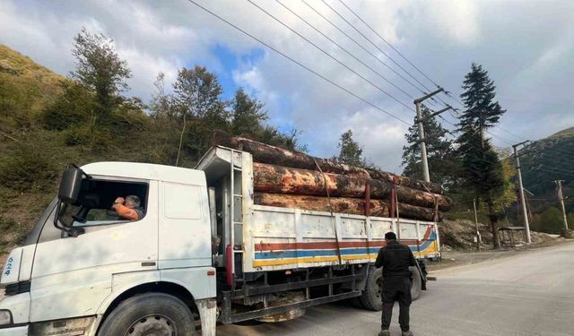 Kaçak odun dolu kamyonlar yakalandı