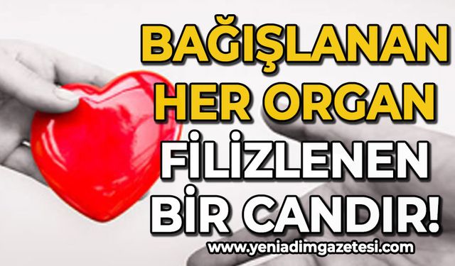 Ertuğrul Güner: Bağışlanan her organ, filizlenen bir candır