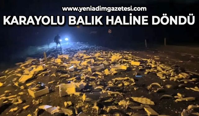 Karayolu balık haline döndü