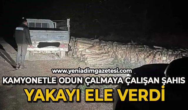 Kamyonetle odun çalmaya çalışan şahıs yakayı ele verdi