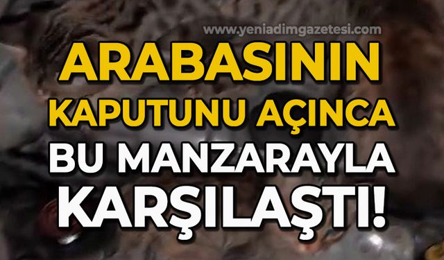 Otomobilin kaputunu açınca gördüğü manzaraya inanamadı