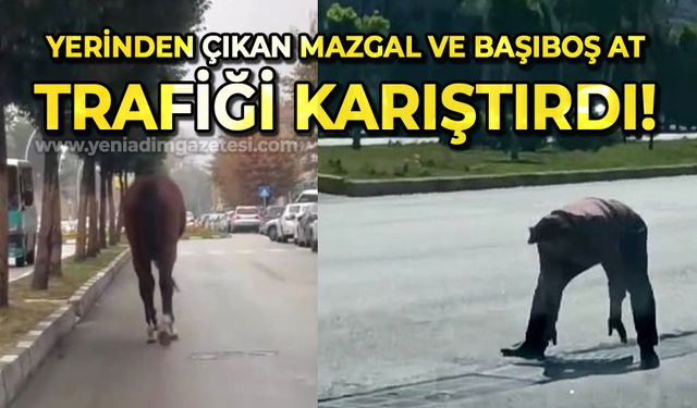 Yerinden çıkan mazgal ve başıboş at trafiği tehlikeye attı