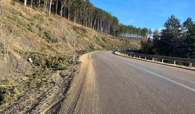 Sık sık kazaların yaşandığı yolda ulaşım doğal ışıklandırmayla güvenli olacak