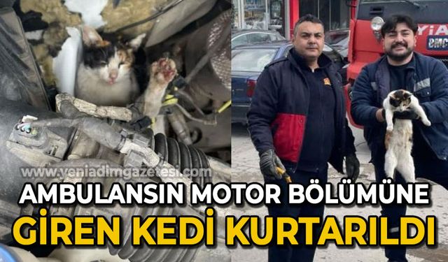 Ambulansın motor bölümüne giren kedi kurtarıldı