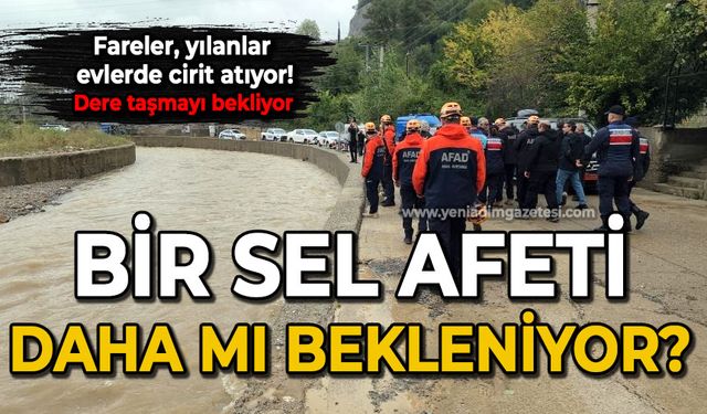 Islah yok, fareler yılanlar cirit atıyor: Bir sel felaketi daha mı bekleniyor?