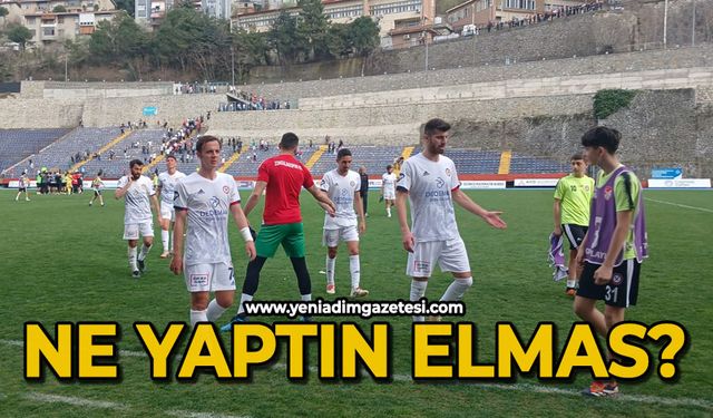 Ne yaptın Elmas?