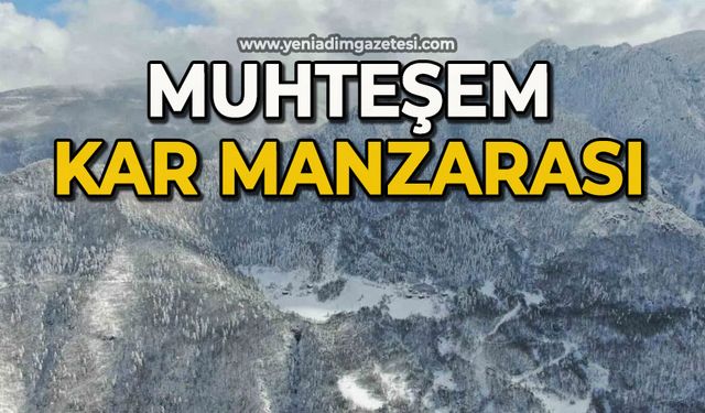 Muhteşem kar manzarası
