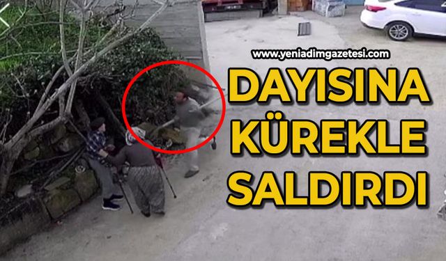 Dayısına kürekle saldırdı
