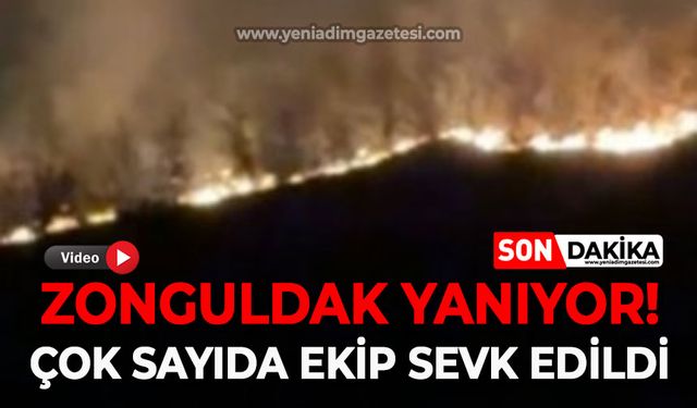 Zonguldak yanıyor: Çok sayıda ekip sevk edildi!