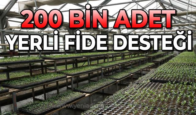 200 bin adet yerli fide desteği